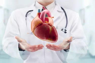 best hospital for echo test in madhepura, best doctor for echo test in madhepura, cost of echo test in madhepura